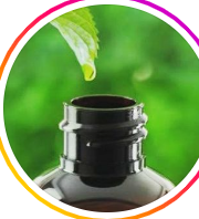 Çiğdem Afet SUCUKA